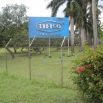 Tifico Scaffolding